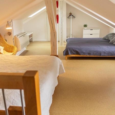 City Center Duplex Loft Colmar Luaran gambar