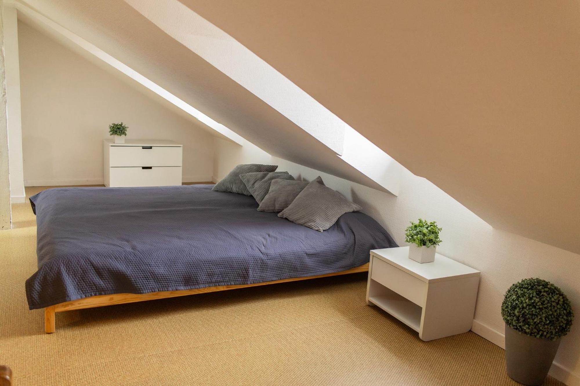 City Center Duplex Loft Colmar Luaran gambar